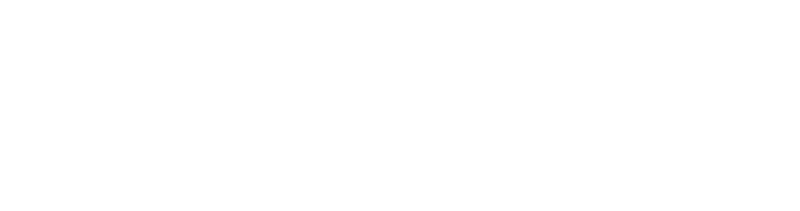 HR Capacity International